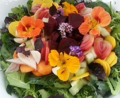Medium summer salad