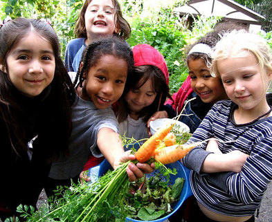 Medium healthy whole foods kids