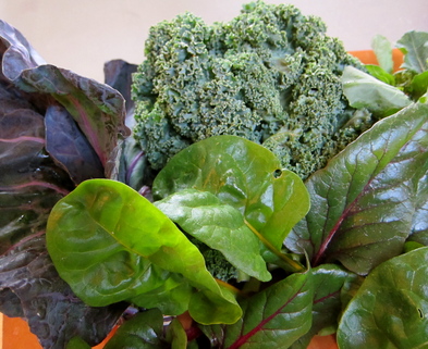 Medium mixed winter greens