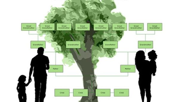 Carousel educational purpose family tree 800x800