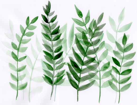 watercolor classes portland watercolor flowers leaves dabble