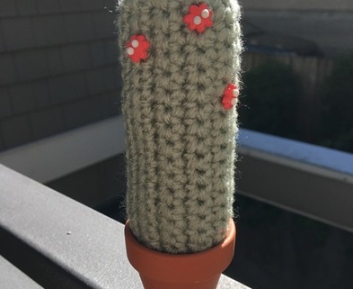 Medium cactuscrochet