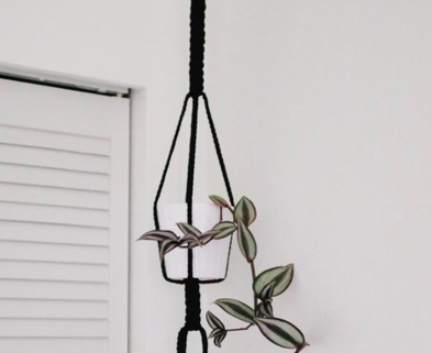 Medium bold macrame plant hanger the works seattle dabble